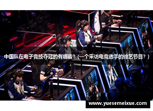中国队在电子竞技夺冠的有哪些？(一个采访电竞选手的综艺节目？)